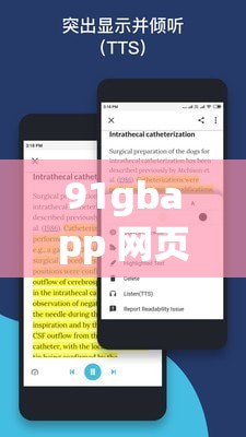 91gbapp 網(wǎng)頁(yè)版 ：提供便捷高效的服務(wù)體驗(yàn)