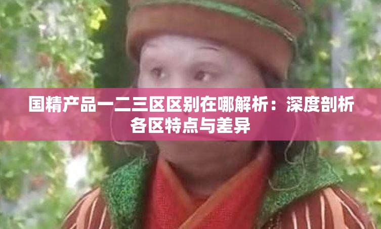 國精產(chǎn)品一二三區(qū)區(qū)別在哪解析：深度剖析各區(qū)特點與差異