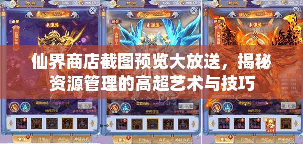 仙界商店截圖預(yù)覽大放送，揭秘資源管理的高超藝術(shù)與技巧