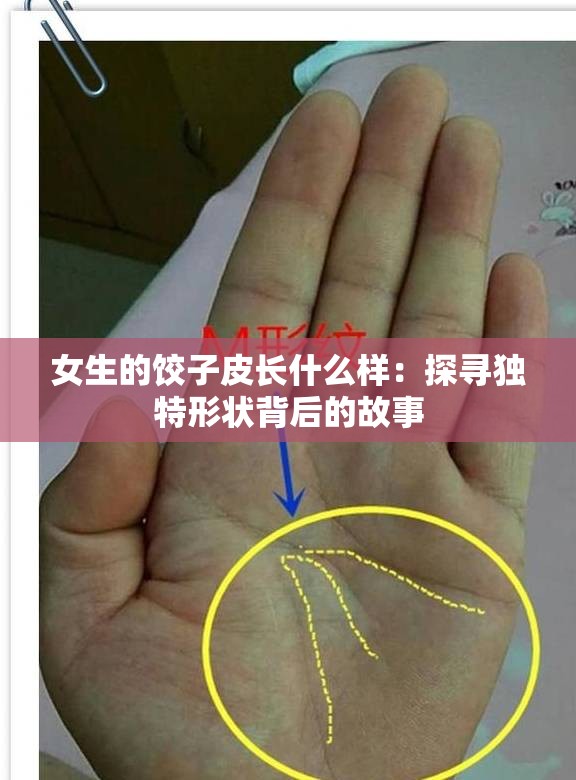 女生的餃子皮長什么樣：探尋獨特形狀背后的故事