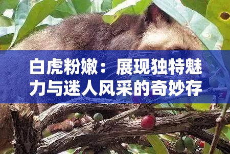 白虎粉嫩：展現(xiàn)獨(dú)特魅力與迷人風(fēng)采的奇妙存在