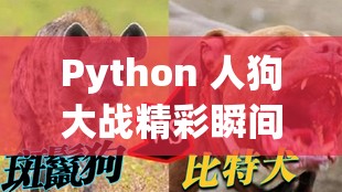 Python 人狗大戰(zhàn)精彩瞬間：令人熱血沸騰的激烈對(duì)決