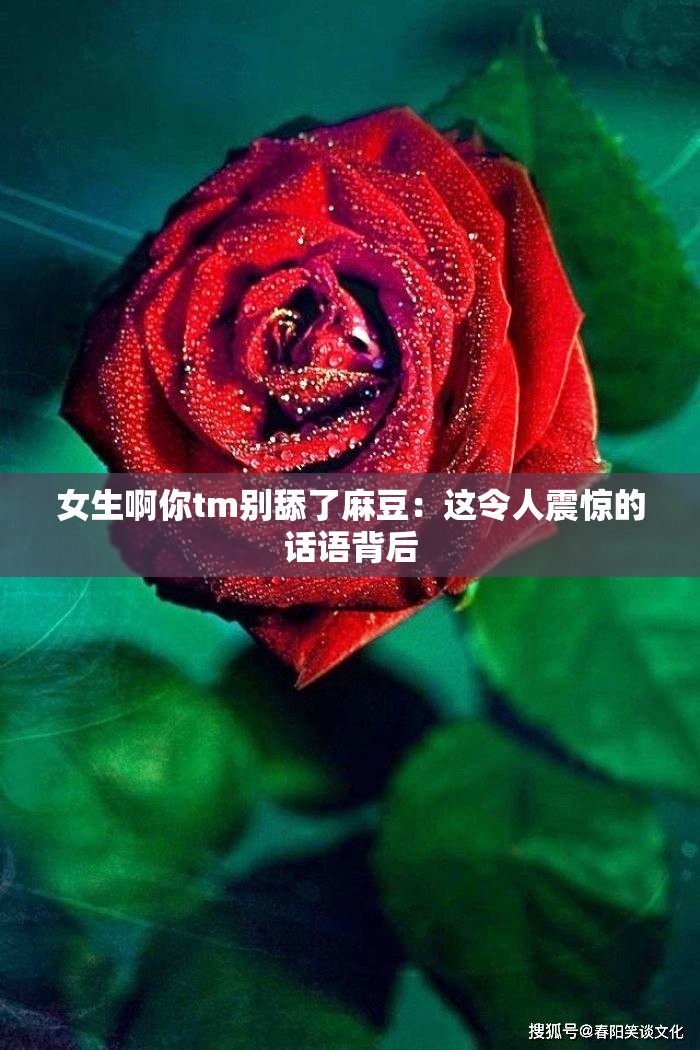 女生啊你tm別舔了麻豆：這令人震驚的話語(yǔ)背后