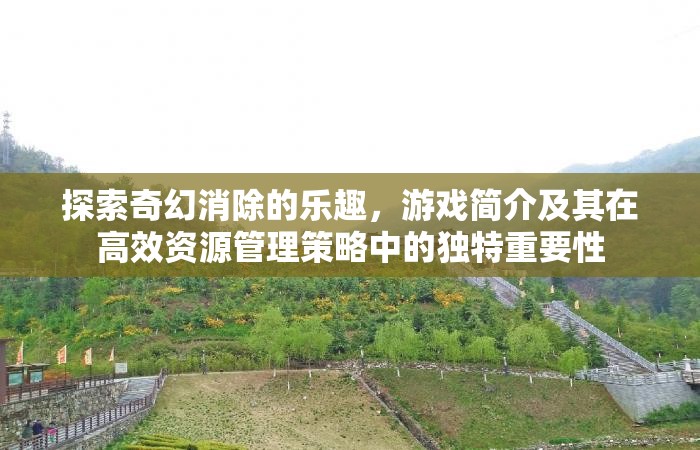 探索奇幻消除的樂(lè)趣，游戲簡(jiǎn)介及其在高效資源管理策略中的獨(dú)特重要性