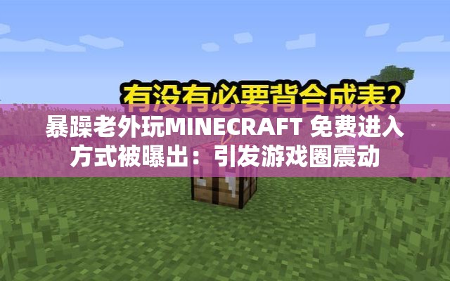 暴躁老外玩MINECRAFT 免費(fèi)進(jìn)入方式被曝出：引發(fā)游戲圈震動(dòng)