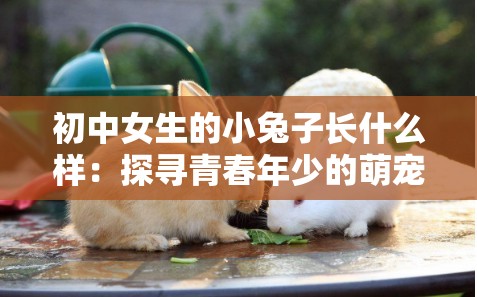 初中女生的小兔子長(zhǎng)什么樣：探尋青春年少的萌寵模樣