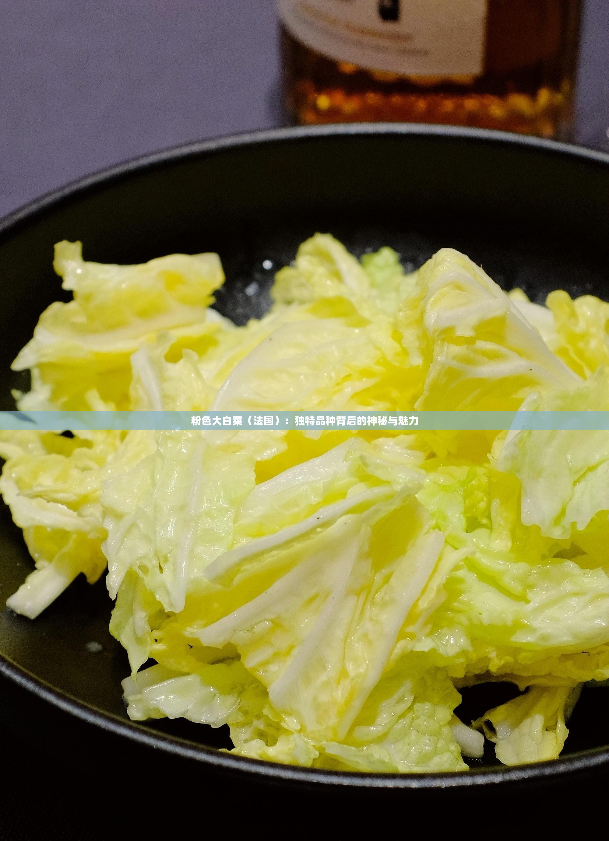 粉色大白菜（法國(guó)）：獨(dú)特品種背后的神秘與魅力