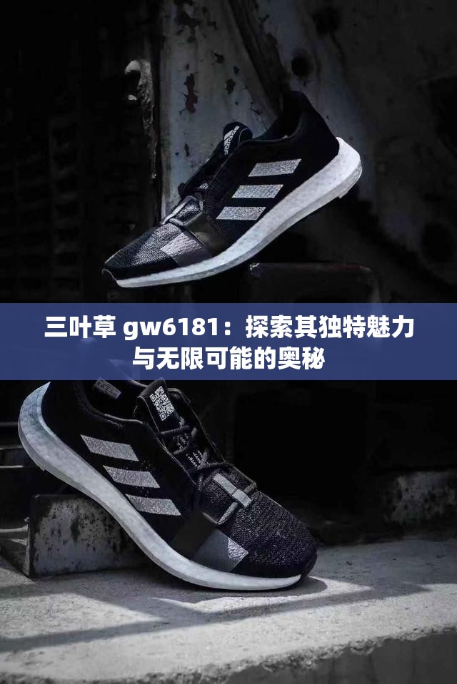 三葉草 gw6181：探索其獨特魅力與無限可能的奧秘