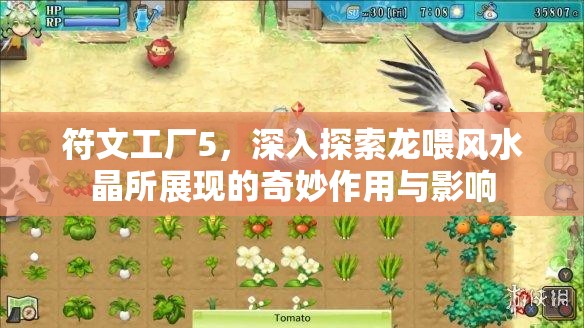 符文工廠5，深入探索龍喂風水晶所展現(xiàn)的奇妙作用與影響