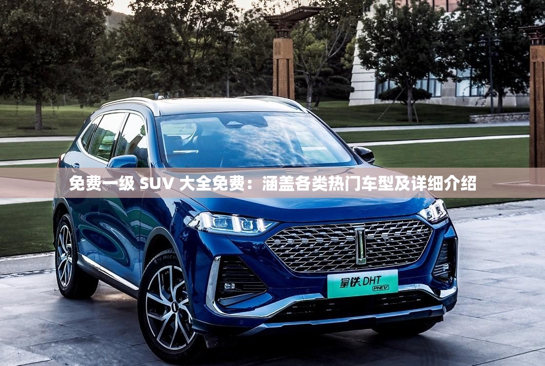 免費(fèi)一級(jí) SUV 大全免費(fèi)：涵蓋各類熱門車型及詳細(xì)介紹