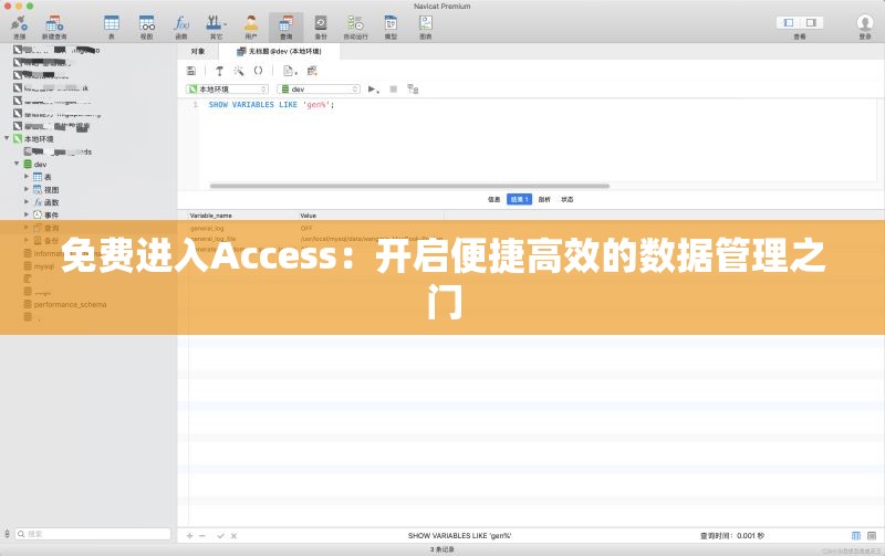 免費(fèi)進(jìn)入Access：開(kāi)啟便捷高效的數(shù)據(jù)管理之門