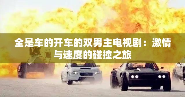 全是車(chē)的開(kāi)車(chē)的雙男主電視?。杭で榕c速度的碰撞之旅