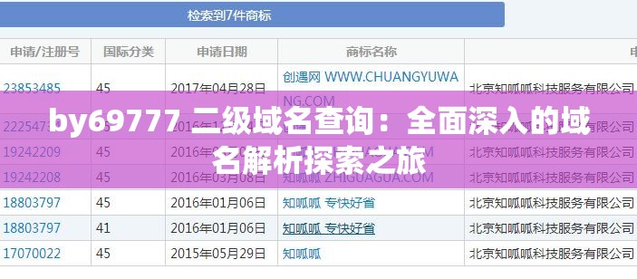 by69777 二級(jí)域名查詢：全面深入的域名解析探索之旅