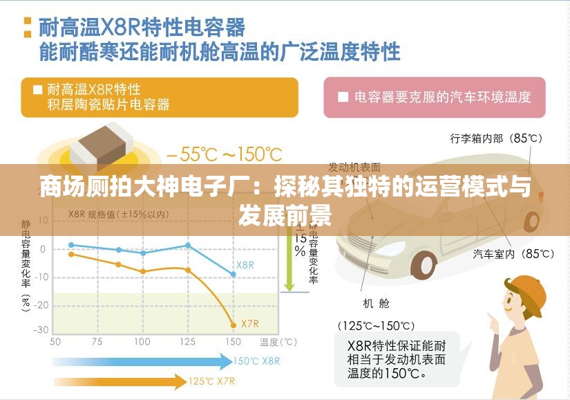商場廁拍大神電子廠：探秘其獨(dú)特的運(yùn)營模式與發(fā)展前景