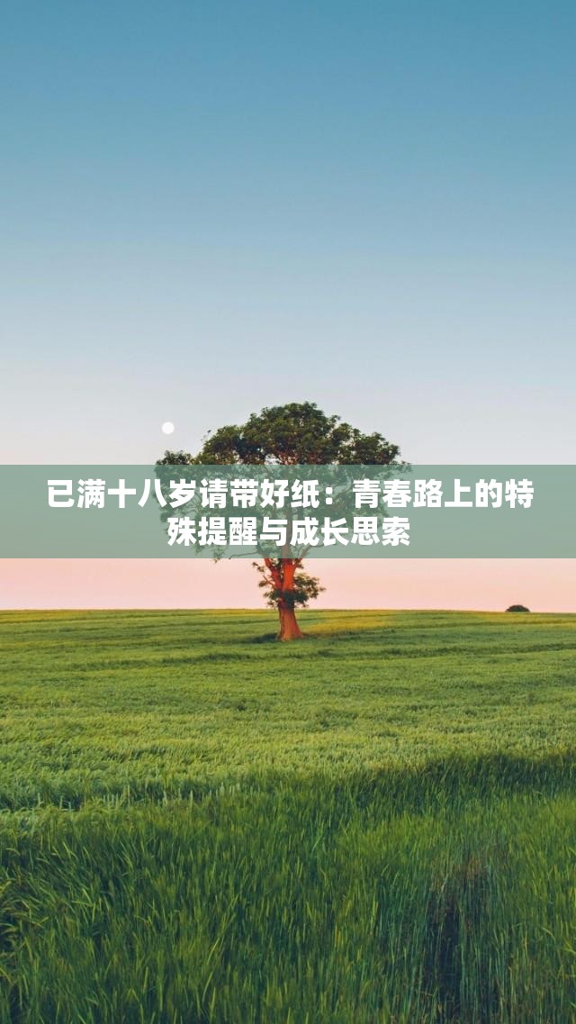 已滿十八歲請帶好紙：青春路上的特殊提醒與成長思索