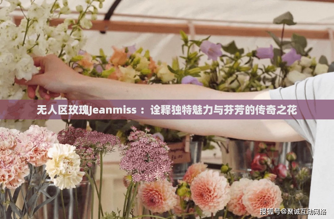 無人區(qū)玫瑰Jeanmiss ：詮釋獨(dú)特魅力與芬芳的傳奇之花