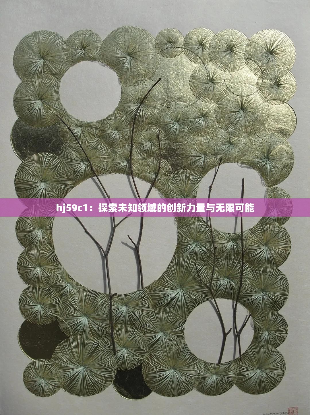 hj59c1：探索未知領(lǐng)域的創(chuàng)新力量與無限可能