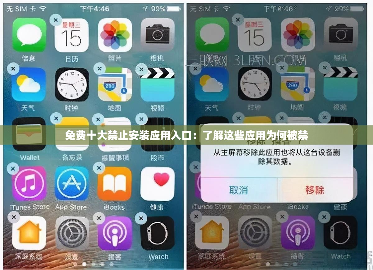 免費(fèi)十大禁止安裝應(yīng)用入口：了解這些應(yīng)用為何被禁