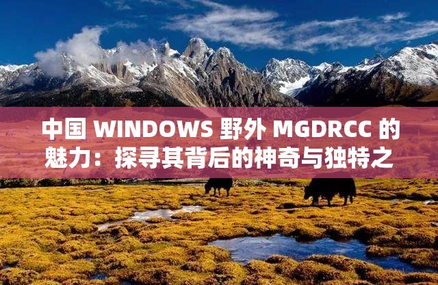 中國 WINDOWS 野外 MGDRCC 的魅力：探尋其背后的神奇與獨特之處