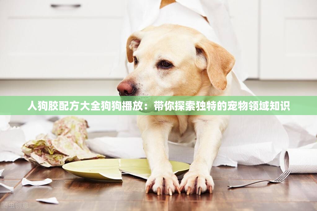 人狗膠配方大全狗狗播放：帶你探索獨(dú)特的寵物領(lǐng)域知識(shí)