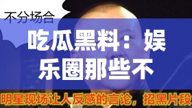 吃瓜黑料：娛樂(lè)圈那些不為人知的驚人內(nèi)幕大揭秘