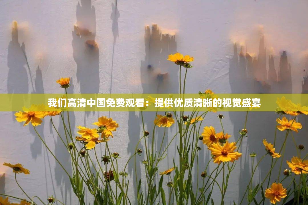 我們高清中國免費觀看：提供優(yōu)質(zhì)清晰的視覺盛宴