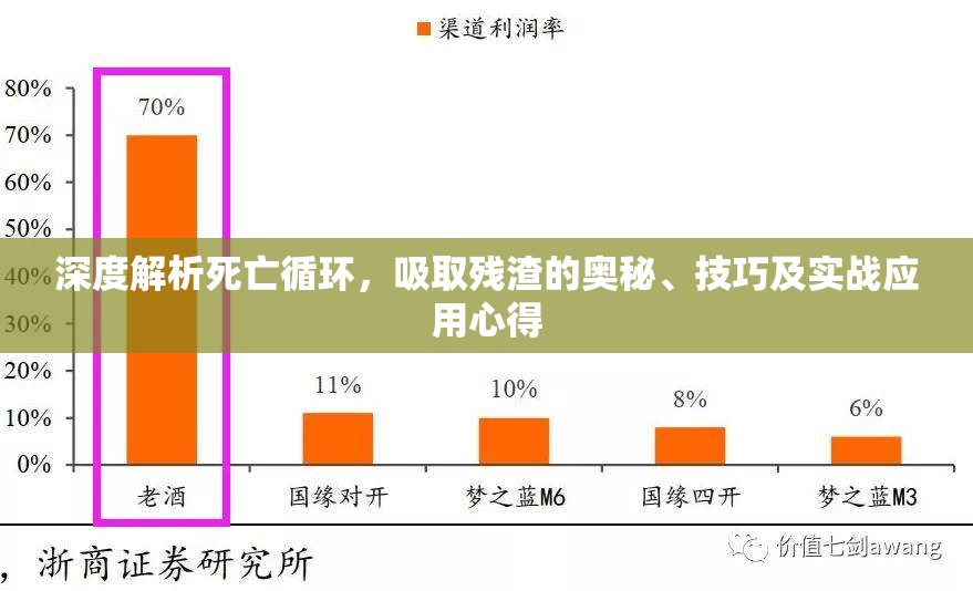 深度解析死亡循環(huán)，吸取殘渣的奧秘、技巧及實戰(zhàn)應(yīng)用心得