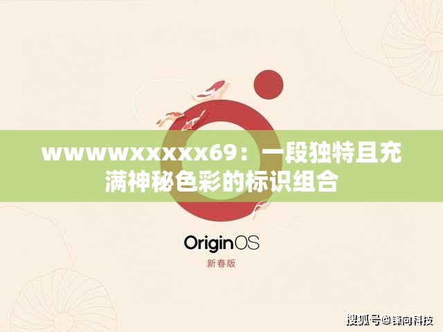 wwwwxxxxx69：一段獨(dú)特且充滿神秘色彩的標(biāo)識(shí)組合