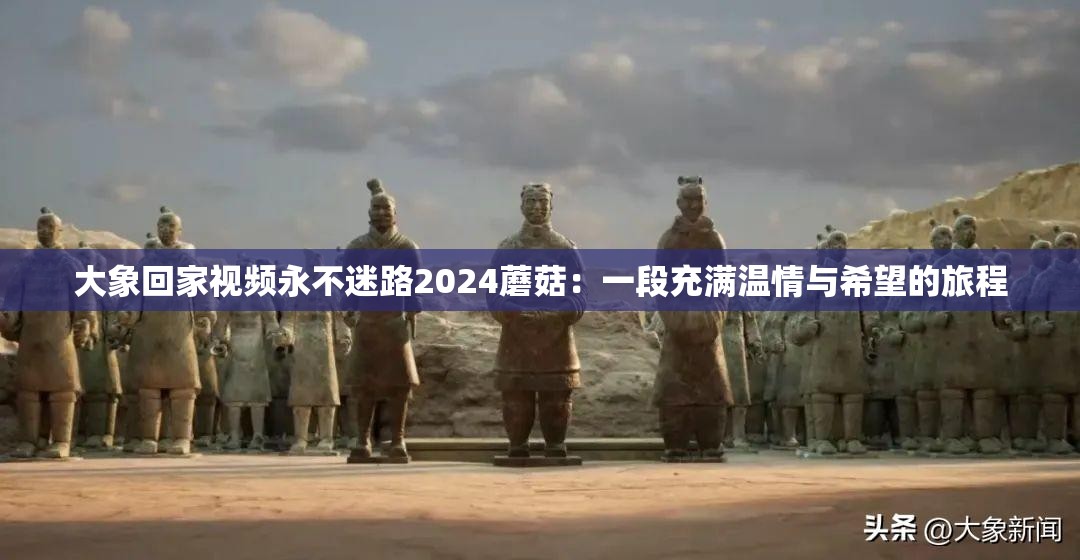 大象回家視頻永不迷路2024蘑菇：一段充滿溫情與希望的旅程