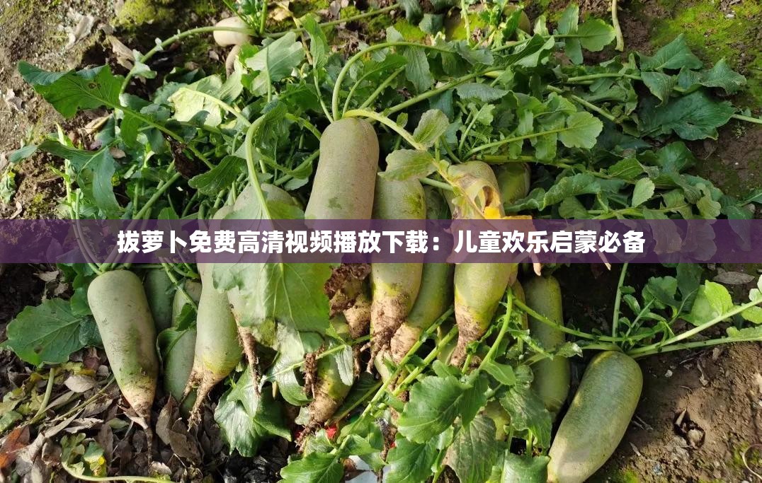 拔蘿卜免費高清視頻播放下載：兒童歡樂啟蒙必備