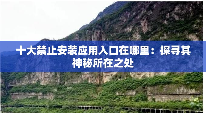 十大禁止安裝應(yīng)用入口在哪里：探尋其神秘所在之處