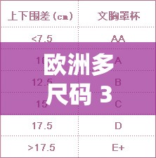 歐洲多尺碼 3538 ：帶來更多舒適選擇與時(shí)尚體驗(yàn)