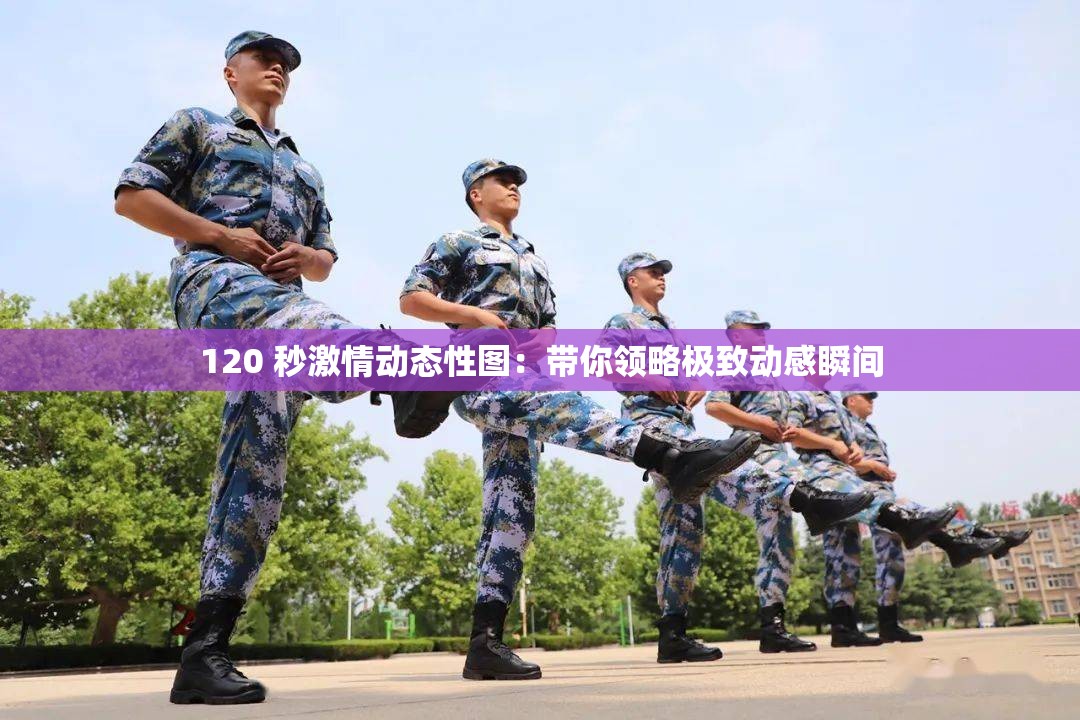 120 秒激情動(dòng)態(tài)性圖：帶你領(lǐng)略極致動(dòng)感瞬間