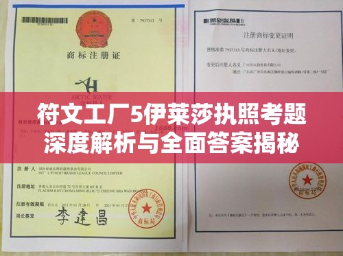 符文工廠5伊萊莎執(zhí)照考題深度解析與全面答案揭秘攻略