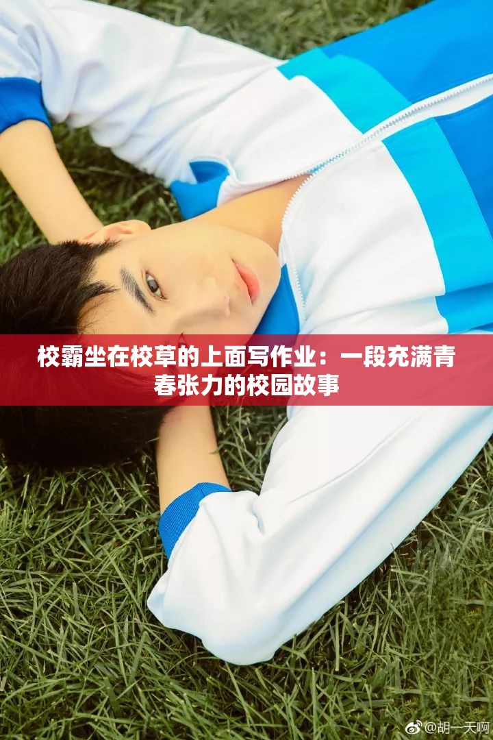 校霸坐在校草的上面寫作業(yè)：一段充滿青春張力的校園故事