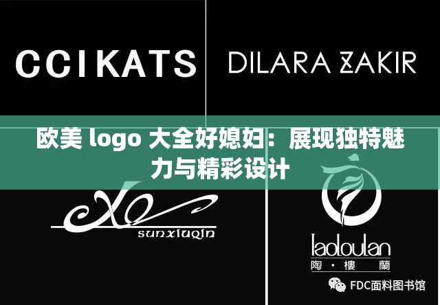 歐美 logo 大全好媳婦：展現(xiàn)獨(dú)特魅力與精彩設(shè)計(jì)
