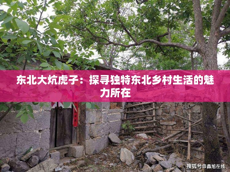 東北大炕虎子：探尋獨(dú)特東北鄉(xiāng)村生活的魅力所在