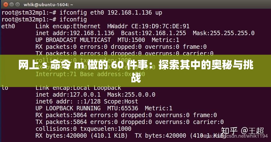 網(wǎng)上 s 命令 m 做的 60 件事：探索其中的奧秘與挑戰(zhàn)