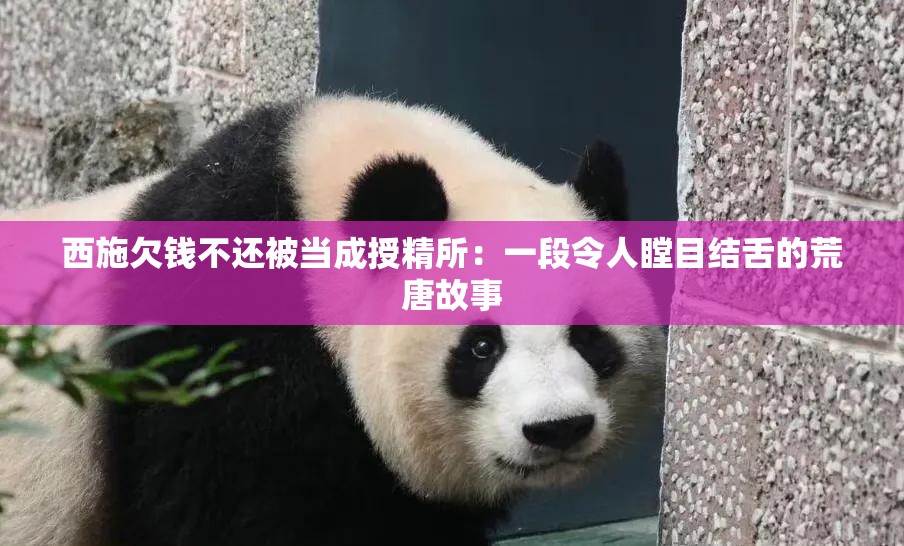 西施欠錢不還被當成授精所：一段令人瞠目結舌的荒唐故事