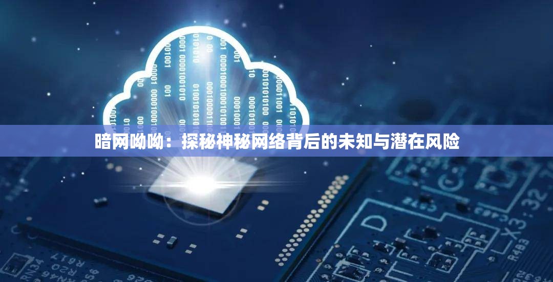 暗網(wǎng)呦呦：探秘神秘網(wǎng)絡背后的未知與潛在風險