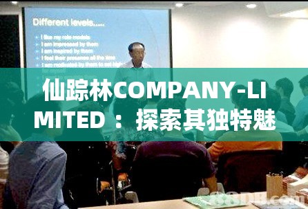 仙蹤林COMPANY-LIMITED ：探索其獨特魅力與發(fā)展歷程