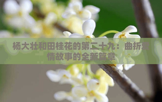 楊大壯和田桂花的第二十九：曲折愛情故事的全新篇章