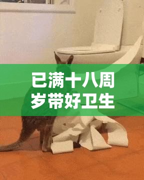 已滿十八周歲帶好衛(wèi)生紙：步入成年需隨時做好準備