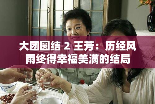 大團圓結 2 王芳：歷經(jīng)風雨終得幸福美滿的結局