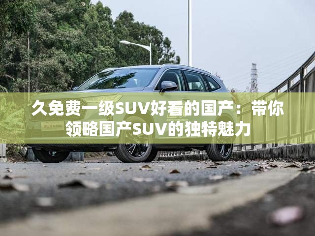 久免費(fèi)一級(jí)SUV好看的國(guó)產(chǎn)：帶你領(lǐng)略國(guó)產(chǎn)SUV的獨(dú)特魅力