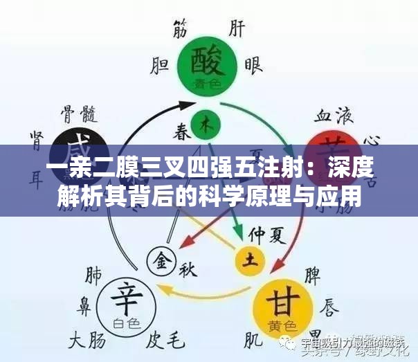 一親二膜三叉四強(qiáng)五注射：深度解析其背后的科學(xué)原理與應(yīng)用
