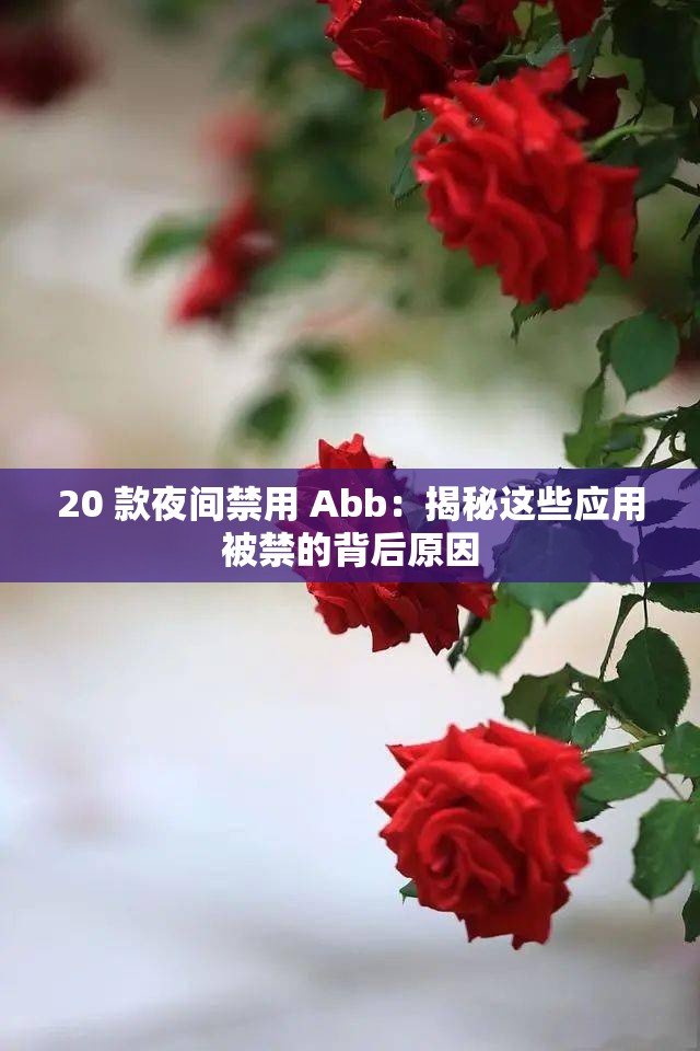 20 款夜間禁用 Abb：揭秘這些應(yīng)用被禁的背后原因