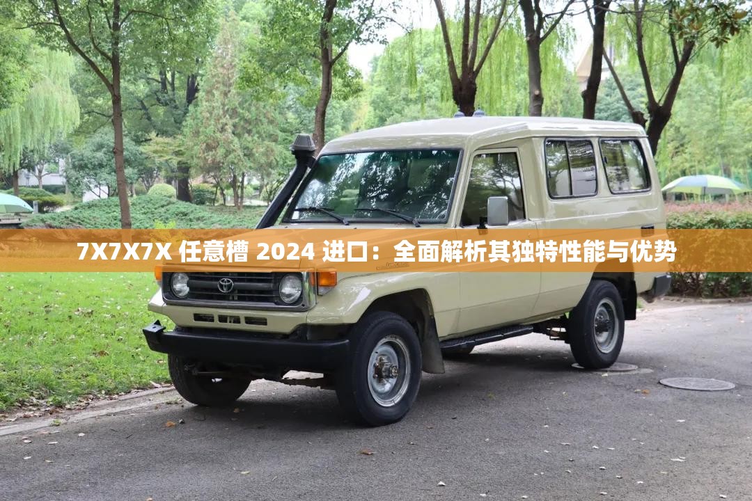 7X7X7X 任意槽 2024 進(jìn)口：全面解析其獨(dú)特性能與優(yōu)勢