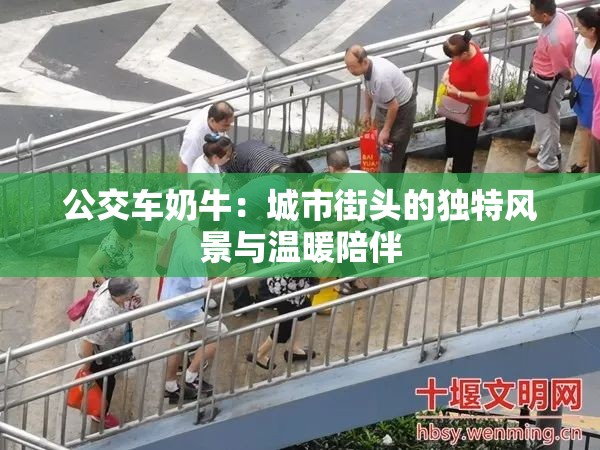 公交車奶牛：城市街頭的獨特風景與溫暖陪伴