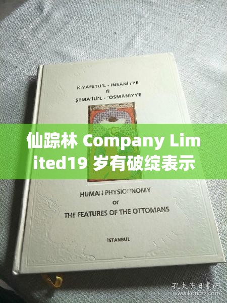 仙蹤林 Company Limited19 歲有破綻表示：深度探究背后的真相